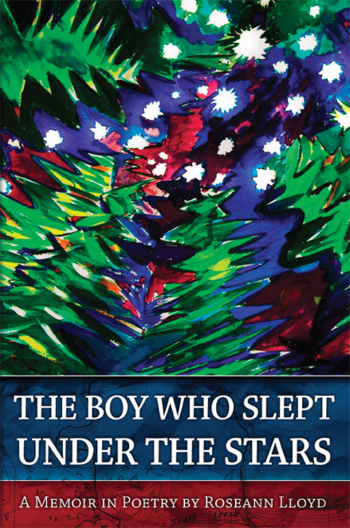 Downloadable PDF :  The Boy Who Slept Under the Stars
